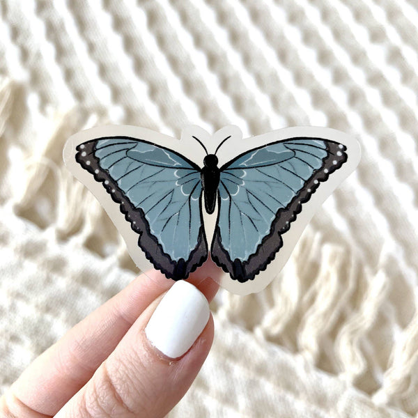 Clear Common Blue Morpho Butterfly Sticker, 2.5x1.5in